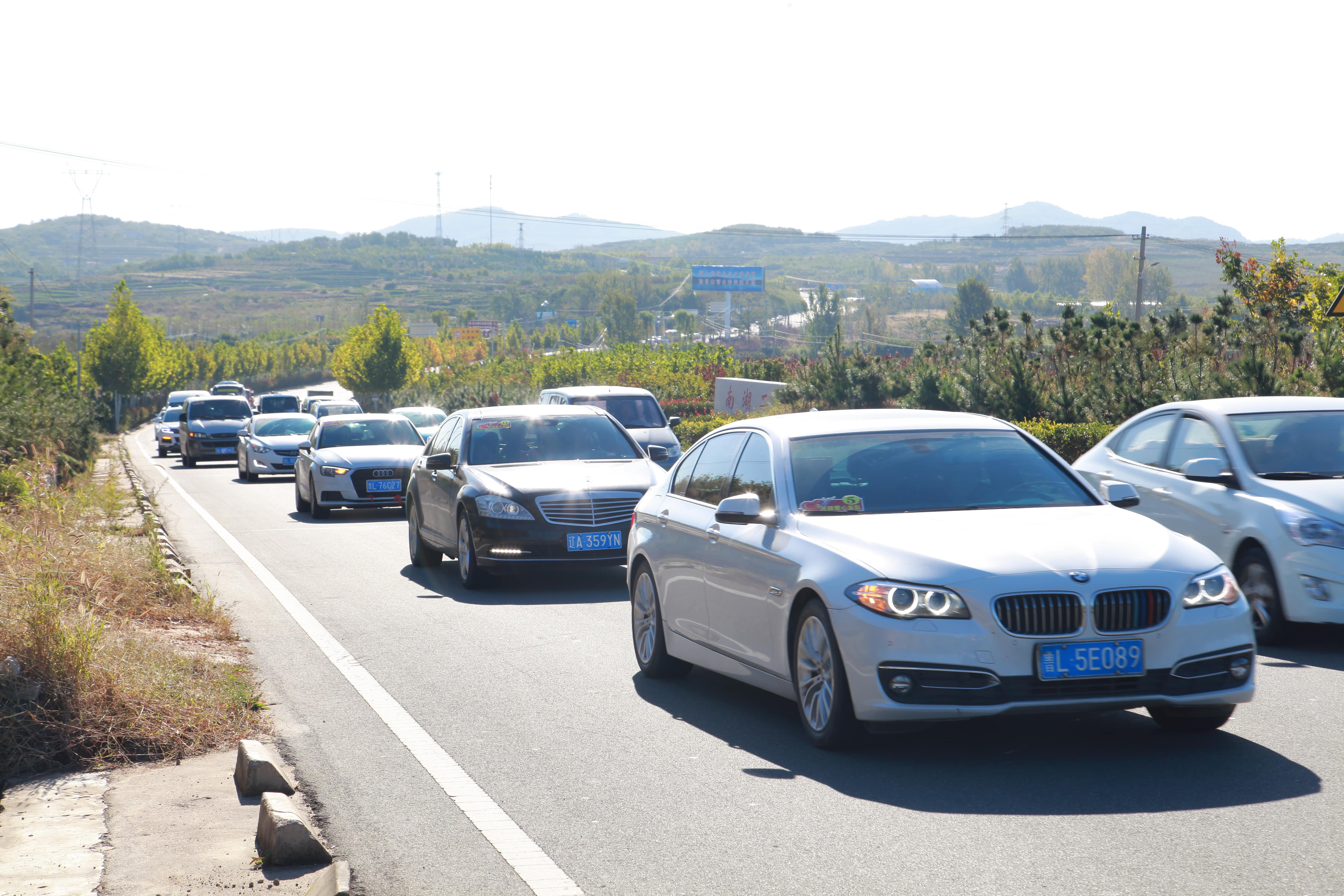 第177所 日照市东港区陈疃镇东辰九游官方站网站入口刘丽新小学