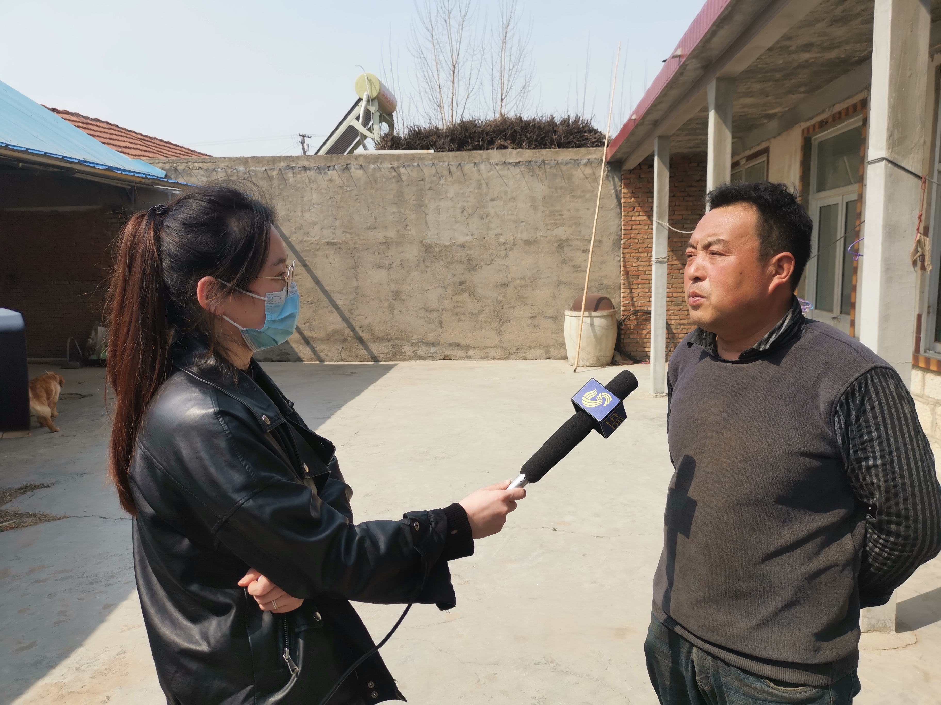 第209所 平度市崔家集镇状元府九游官方站网站入口刘丽新小学