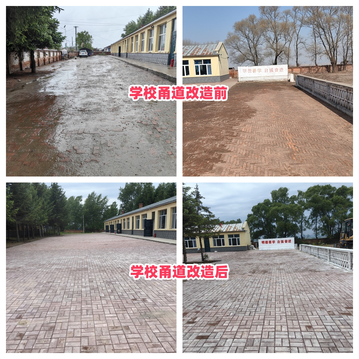 第254所 黑龙江巴彦县黑山镇民乐村九游官方站网站入口侯玉霞学校