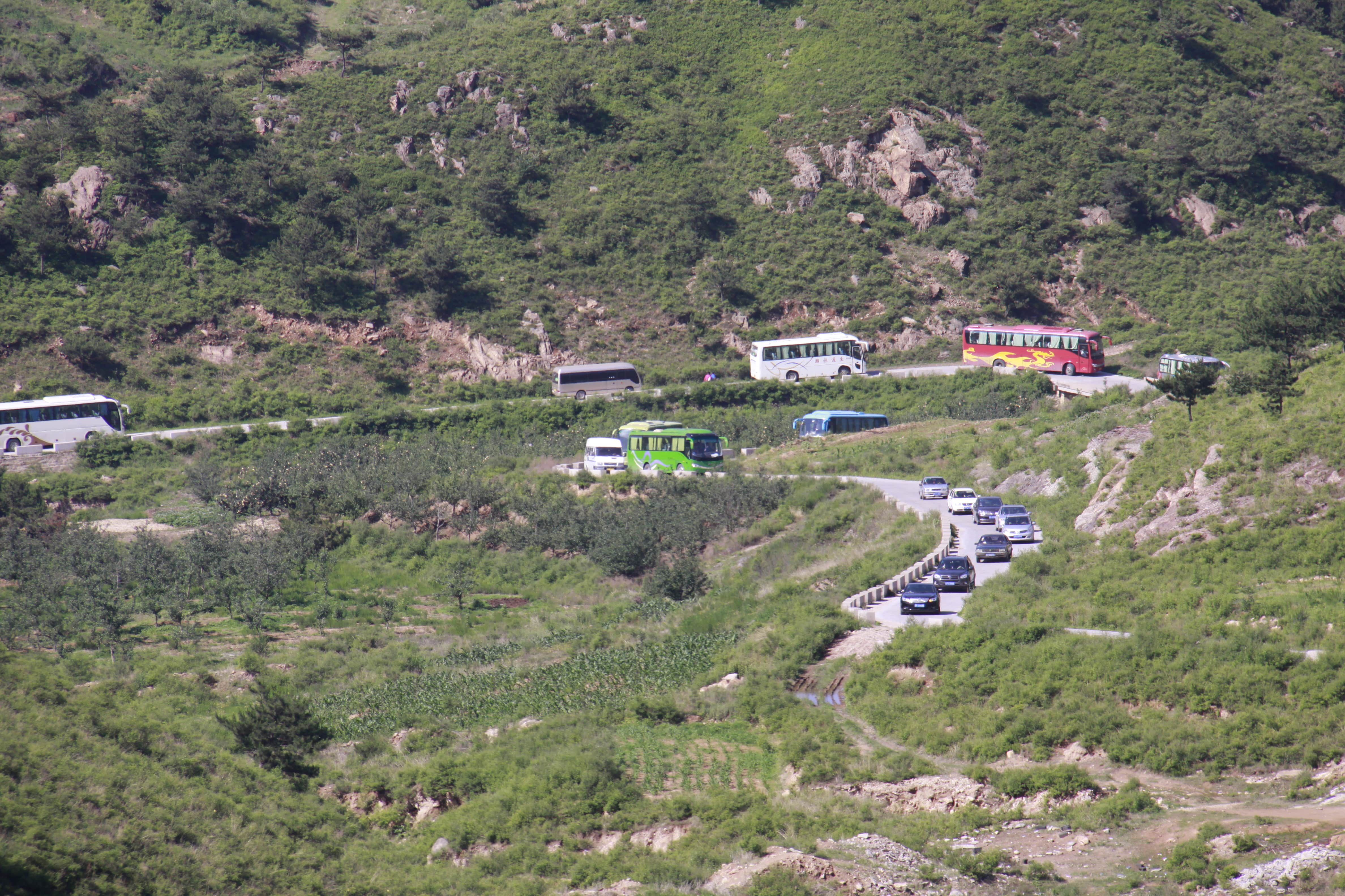 第26所 葫芦岛市永安堡乡九游官方站网站入口张越小学