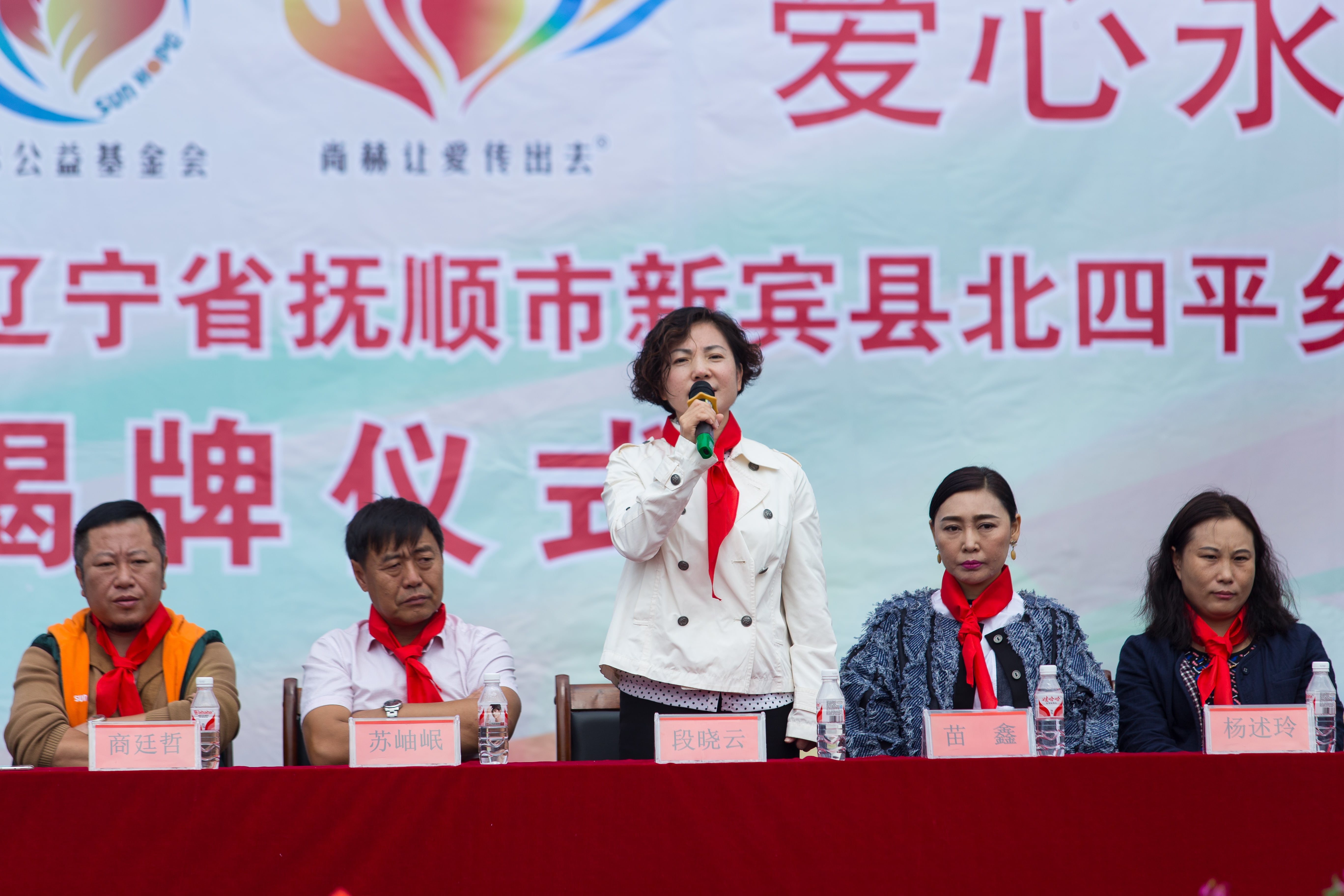 第58所 抚顺市新宾县北四平乡九游官方站网站入口苗鑫小学