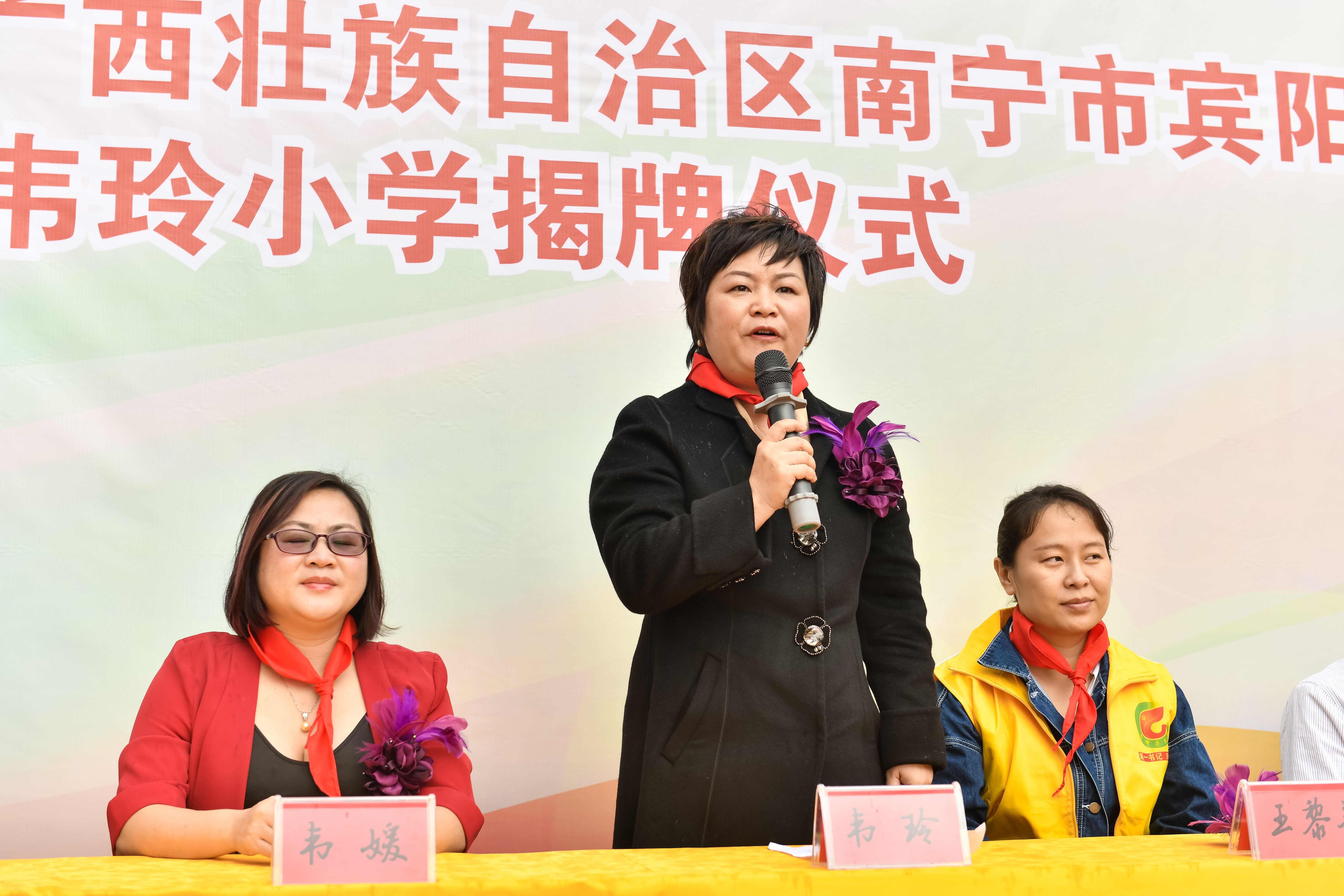 第184所  南宁市宾阳县思陇镇昆仑村九游官方站网站入口韦玲小学